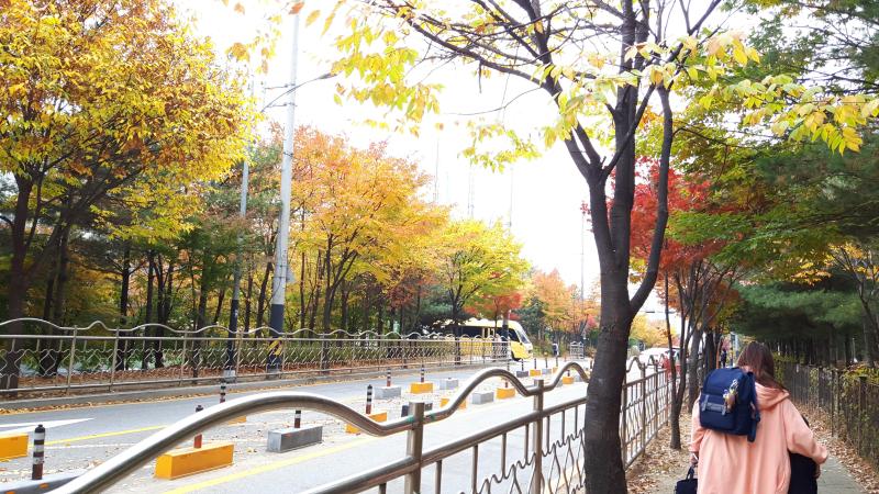 컨텐츠파일