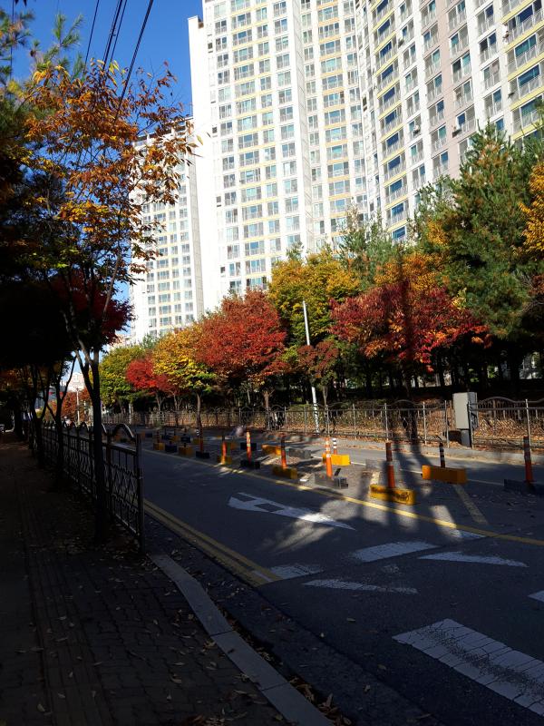 잘됨