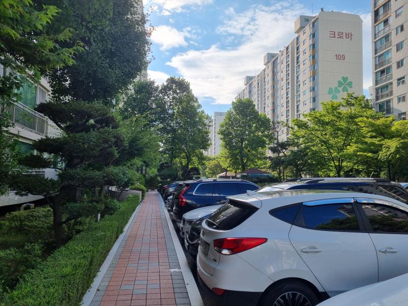 컨텐츠파일