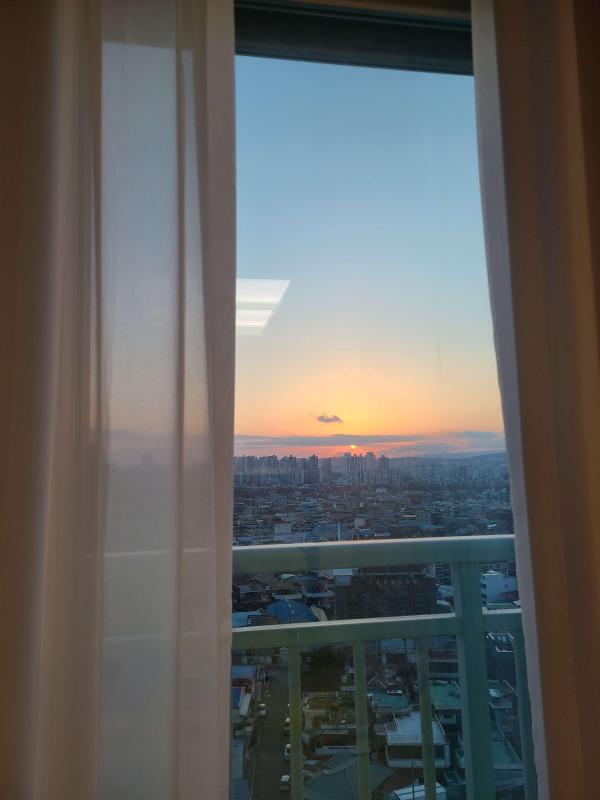 컨텐츠파일