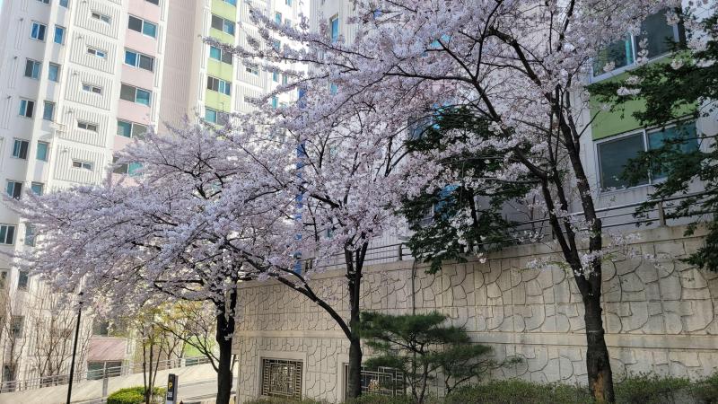 굶주린늑대