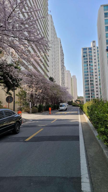 굶주린늑대