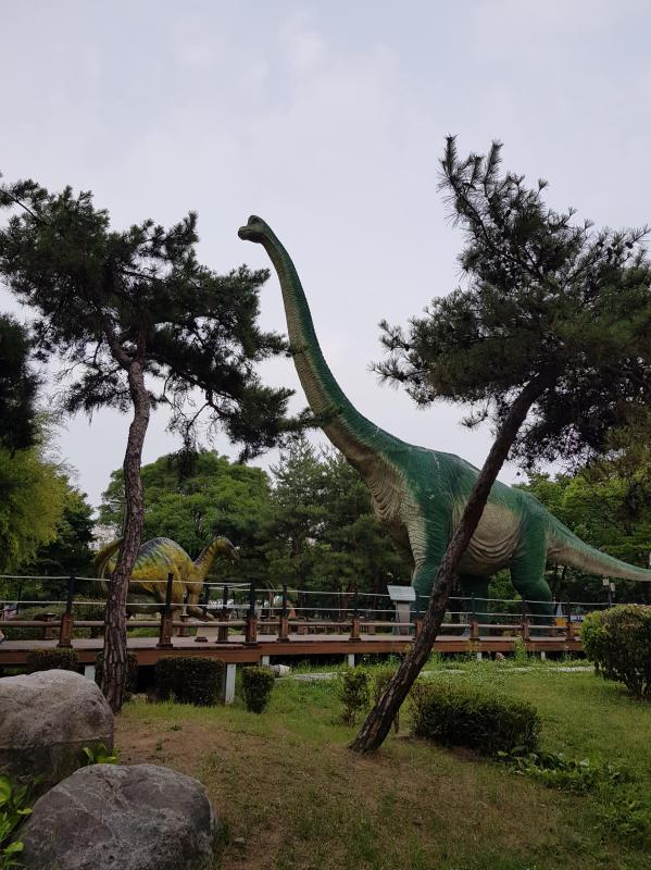 의술장금이