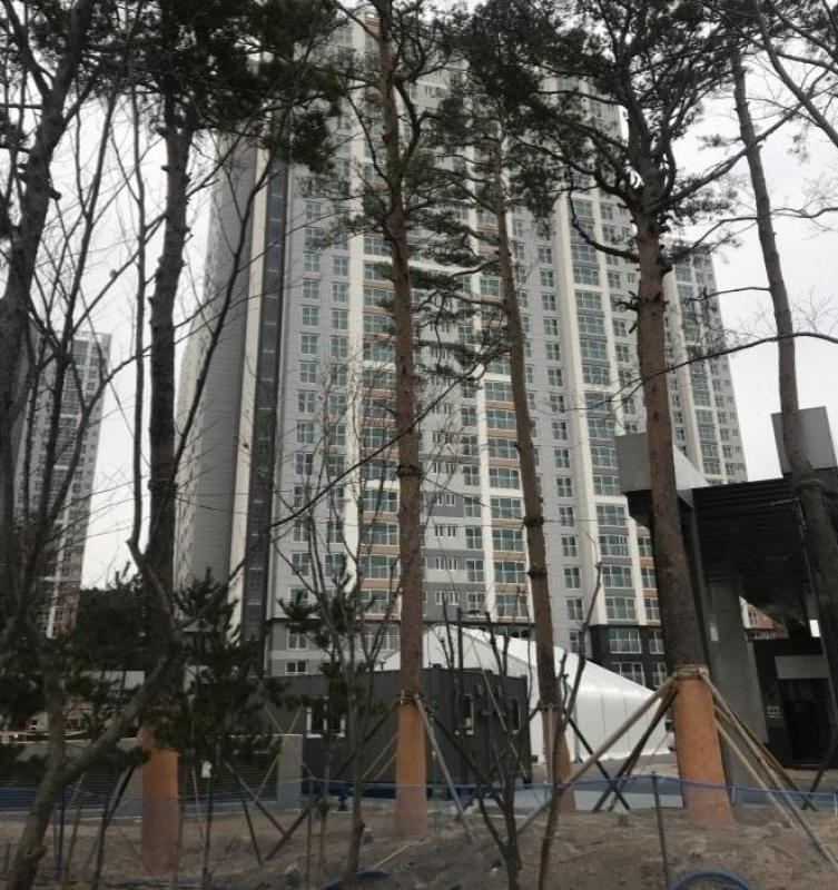 뚱이맘