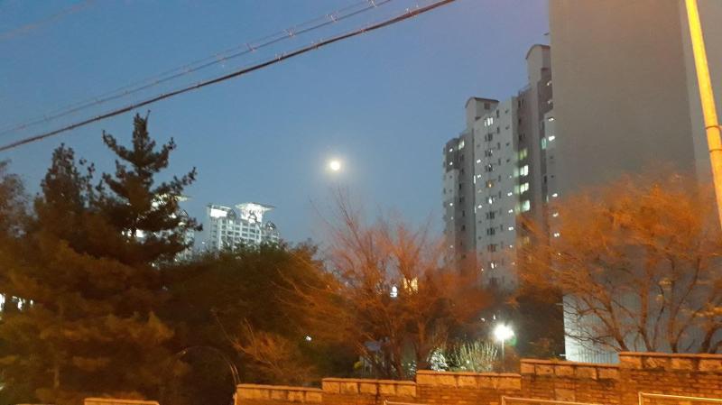 컨텐츠파일