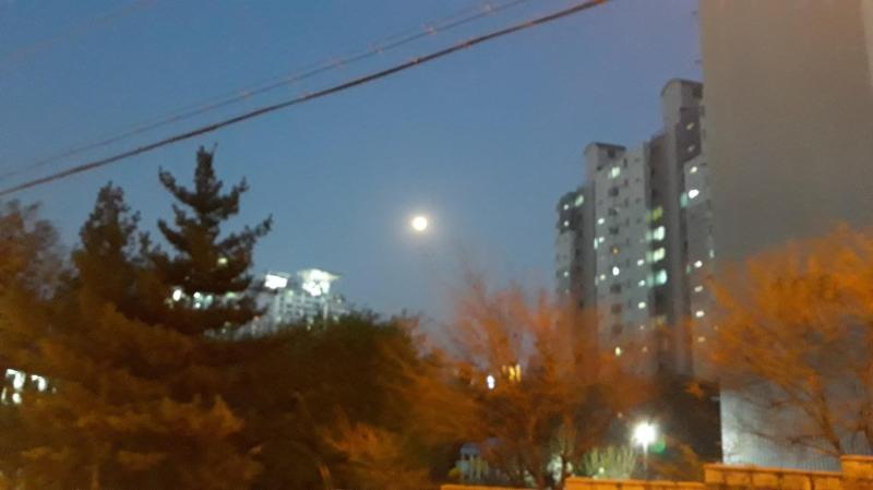 컨텐츠파일