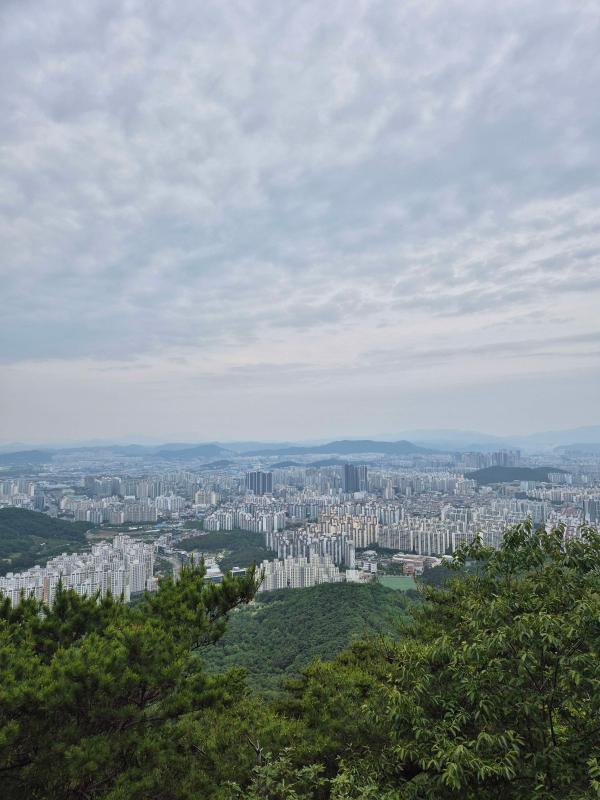 컨텐츠파일