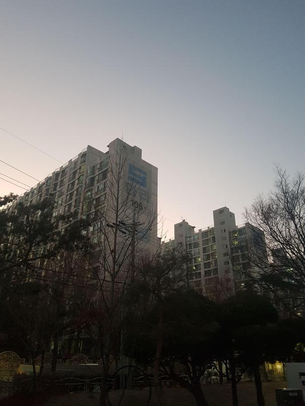 컨텐츠파일