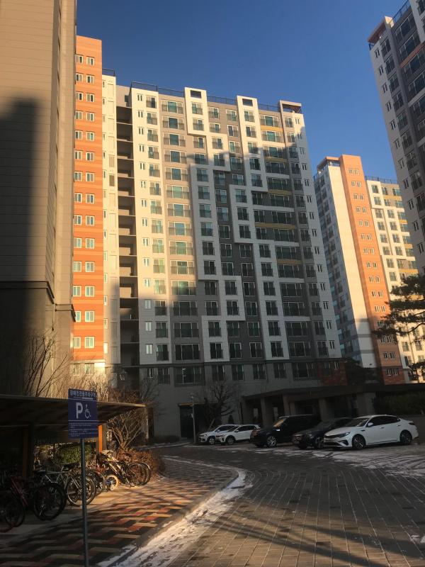 컨텐츠파일