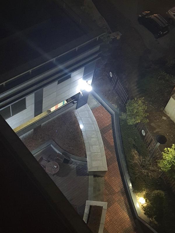 컨텐츠파일