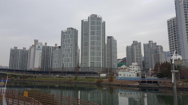 지크미소
