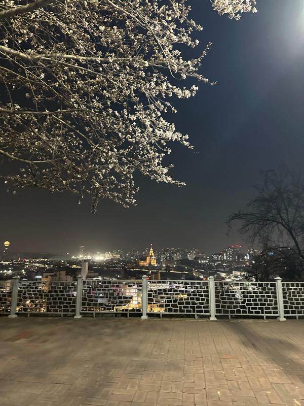 컨텐츠파일
