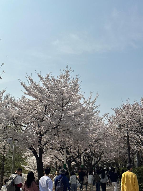 컨텐츠파일