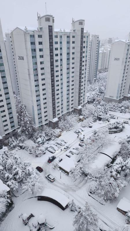 컨텐츠파일
