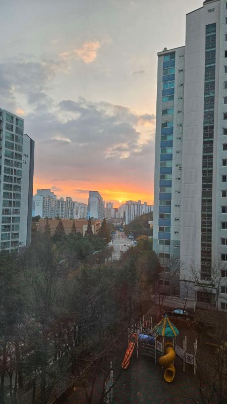 컨텐츠파일