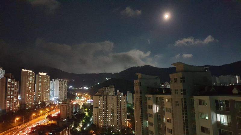 컨텐츠파일