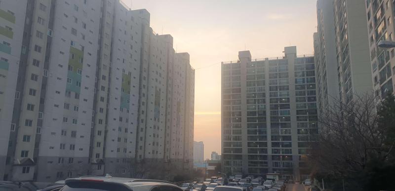 컨텐츠파일