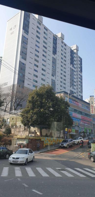컨텐츠파일
