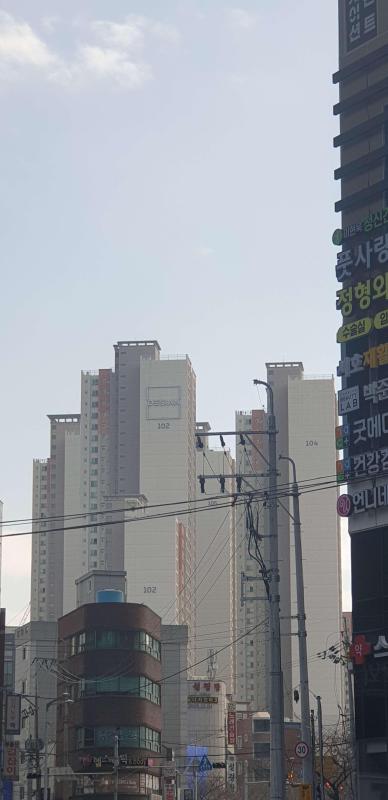 컨텐츠파일