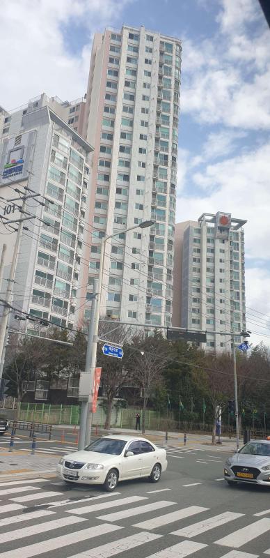 컨텐츠파일