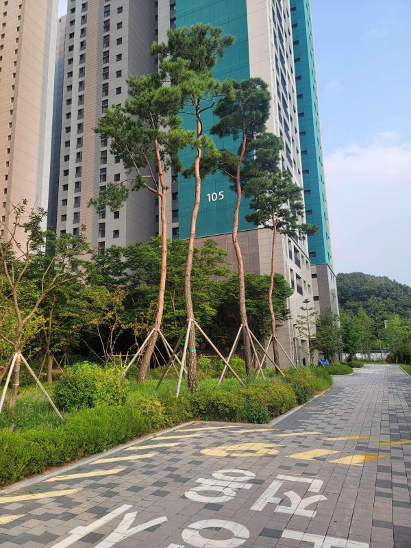 자유이용권