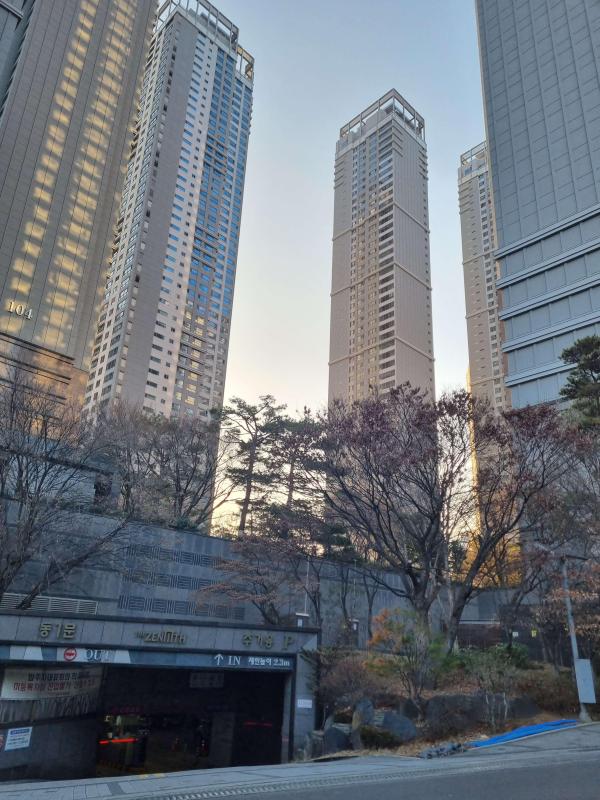 컨텐츠파일