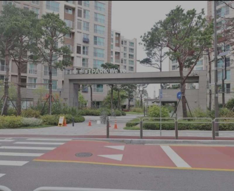 오레가노