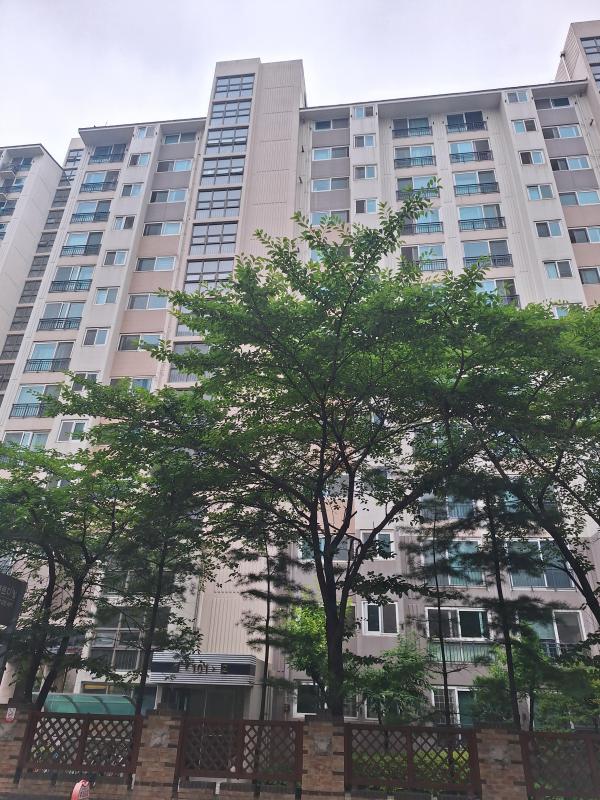 컨텐츠파일