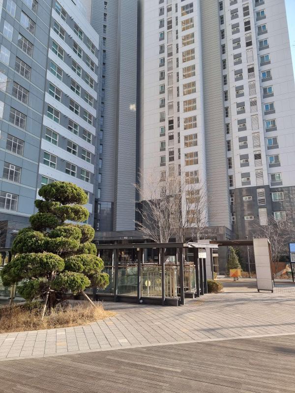 컨텐츠파일