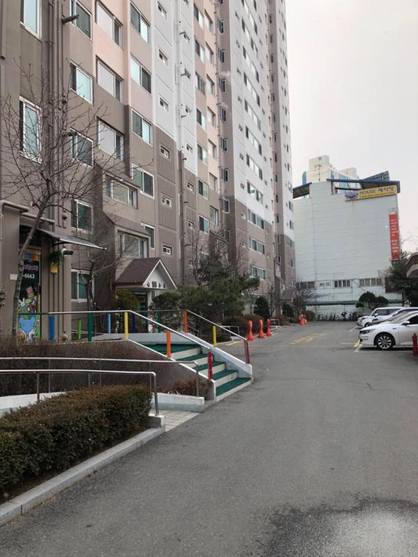김고양