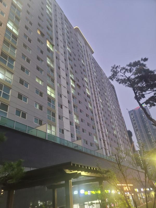 컨텐츠파일