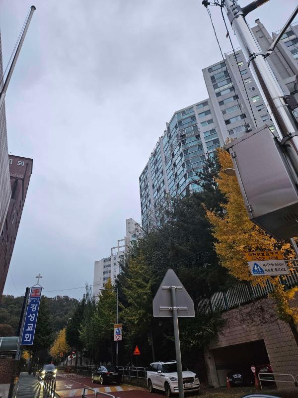컨텐츠파일