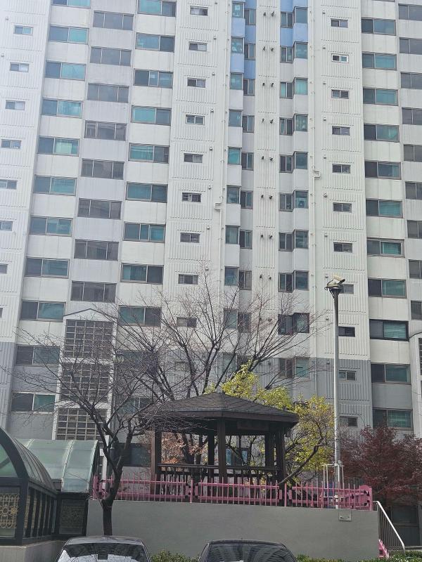 컨텐츠파일