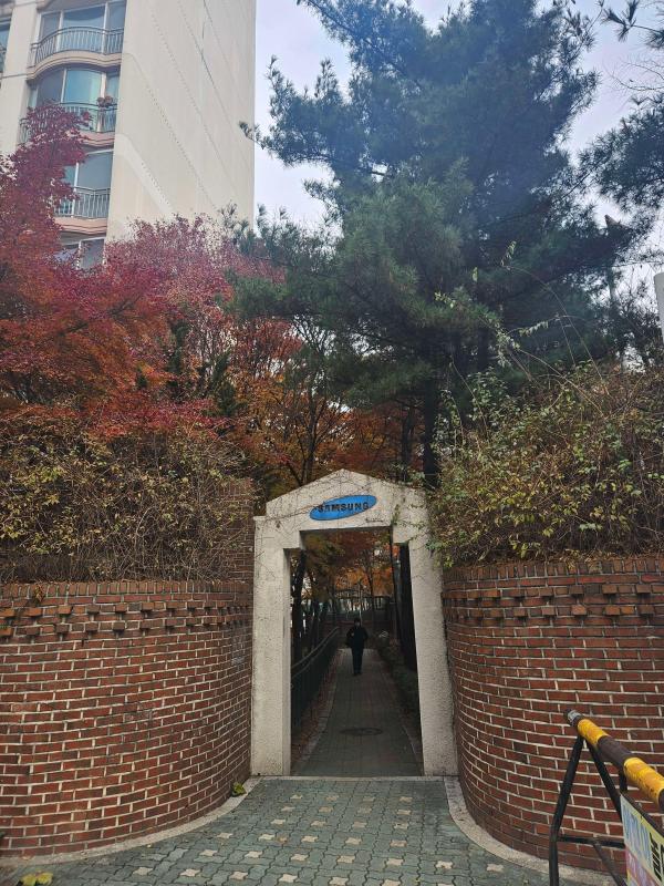 컨텐츠파일