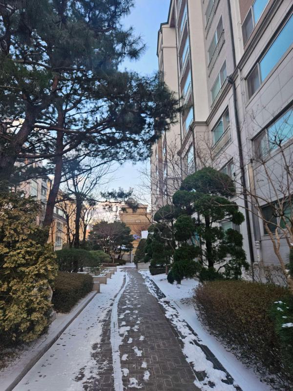 컨텐츠파일