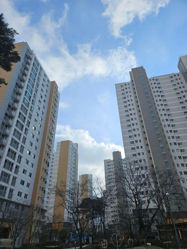 컨텐츠파일
