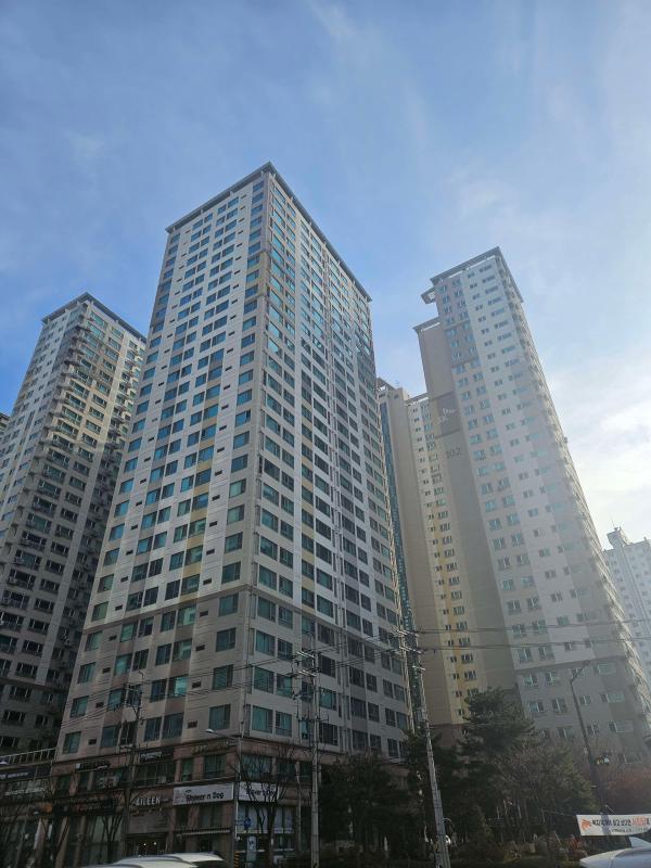 컨텐츠파일