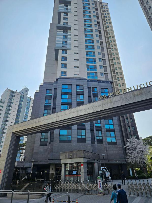 컨텐츠파일