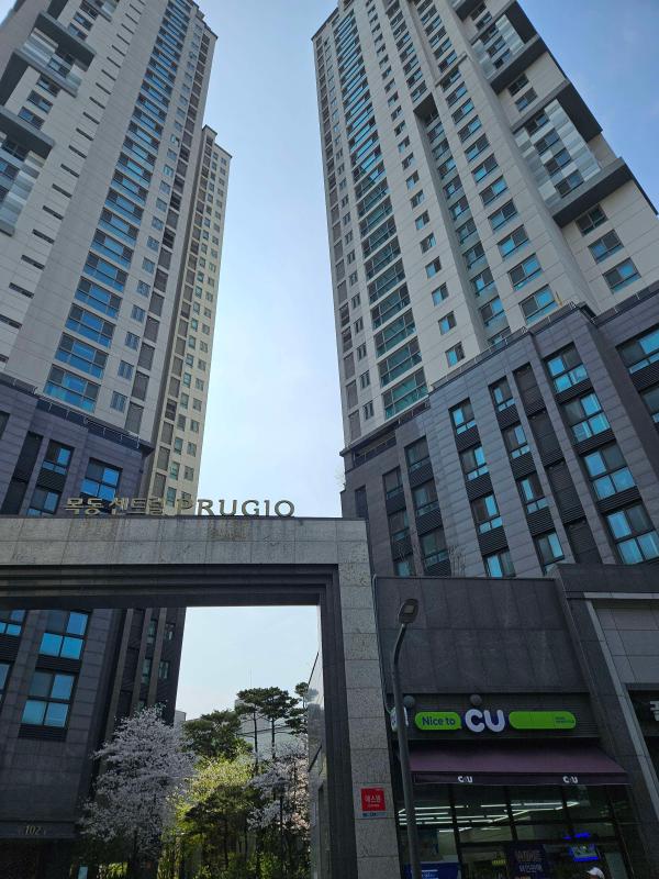 컨텐츠파일