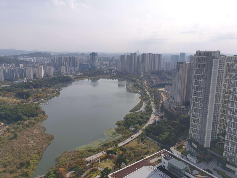 컨텐츠파일