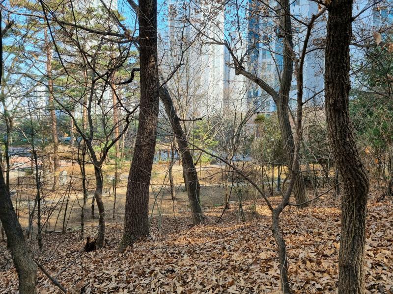컨텐츠파일