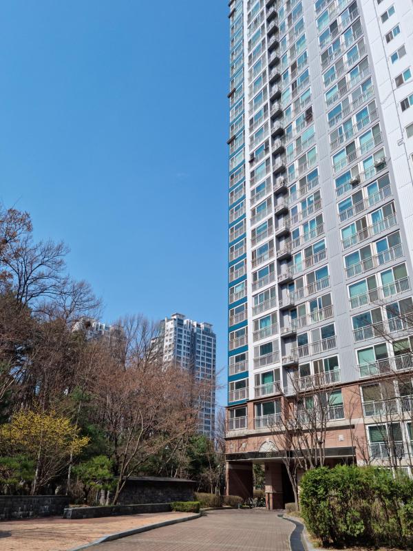 컨텐츠파일