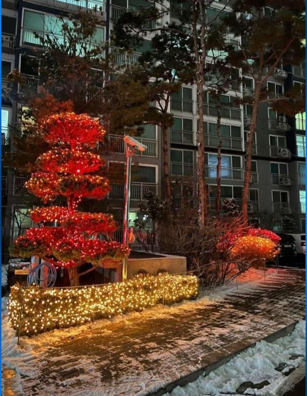 컨텐츠파일