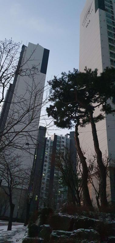 컨텐츠파일