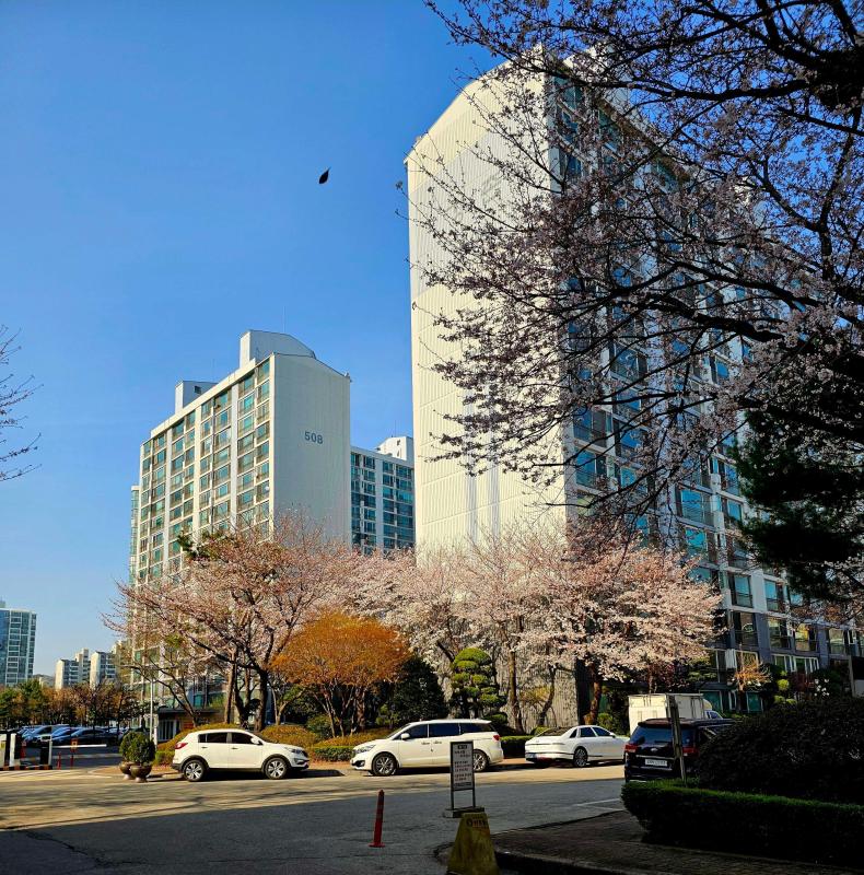 컨텐츠파일
