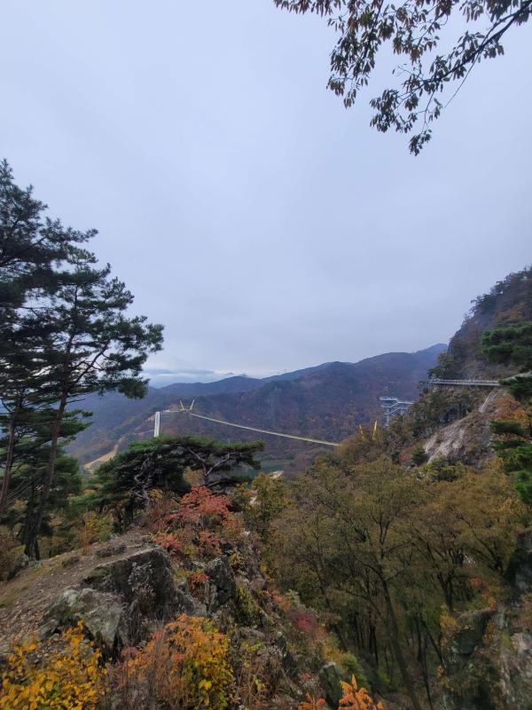 cntn