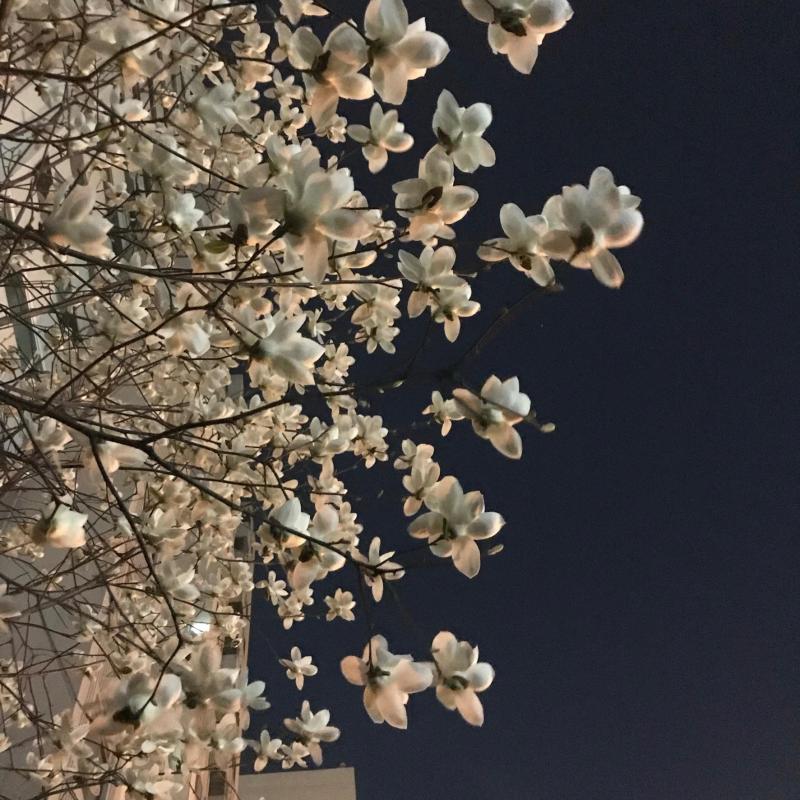 컨텐츠파일