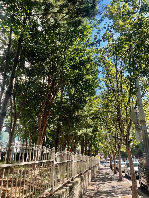 컨텐츠파일