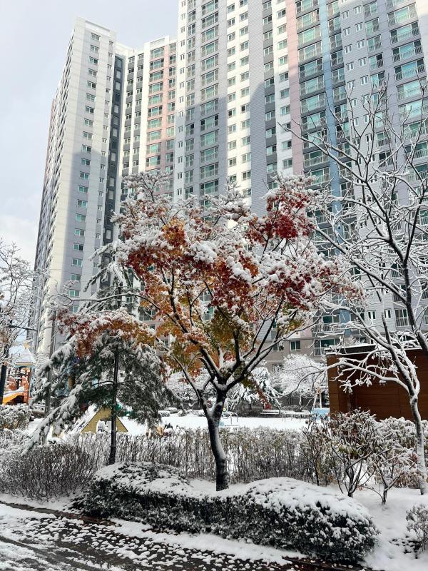 컨텐츠파일