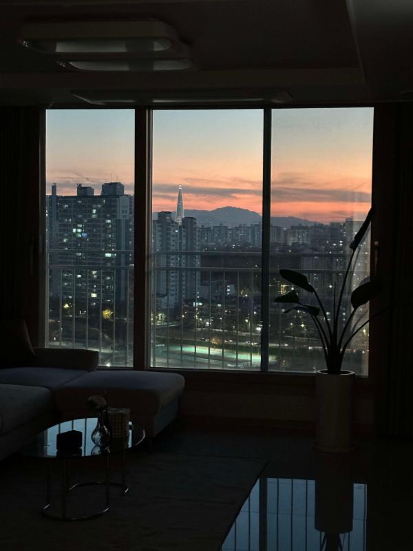 컨텐츠파일